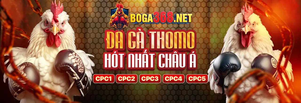 Đá gà trực tuyến mc876 win 2026 với những trận đấu kịch tính
